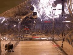1er JdC INdoor, mg 250W