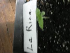 IMG 1853