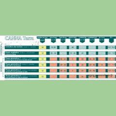 schema canna terra