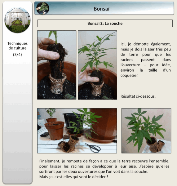 gallery_681336_1428_187102.png
