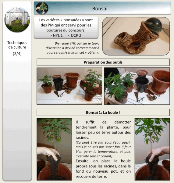 gallery_681336_1428_198366.png