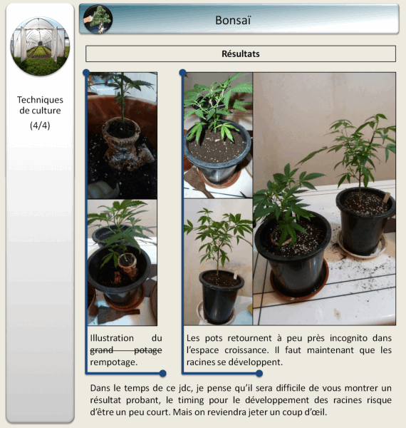 gallery_681336_1428_22947.png