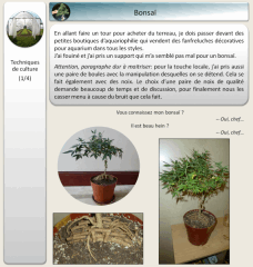 09   bonsai 1