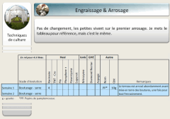08   engraissage   Copy