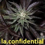 La conf