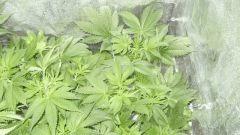 La plus petite En haut A droite Flo  11