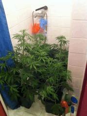 sous la douche