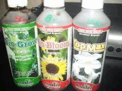 013 voici les 3 angrais bio bizz je nes rien mis d autre §§§§§§§§§§§§ET C MA PREMIERE PLANTATION DE DEBUTANTE COOL NON,