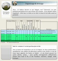 11 engraissage