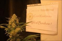 JDC Concours 2K11-2K12
