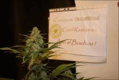 JDC Concours 2K11-2K12