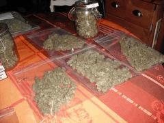DSCF0008