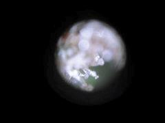 DSCF0421