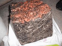 DSCF0857