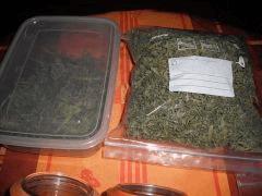 DSCF0009