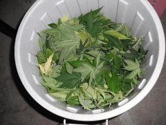 DSCF0875