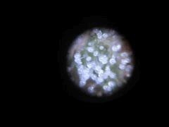 DSCF0411