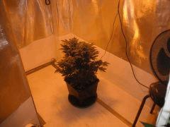 DSCF0335