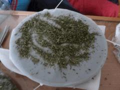 hash 2 tamisage