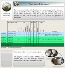 12 engraissage