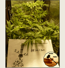 11 legal   Copy