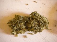 BigBang (Curing)