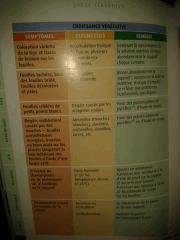 Tableau Diagnostic