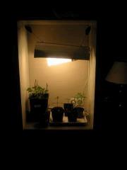 Espace Cro