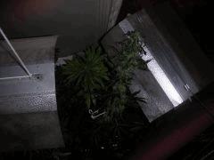 VUE DE HAUT PLAFOND