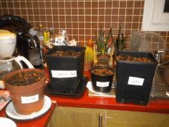 Rempotage!