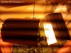 2x250w HPS Flo j-1