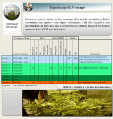 9 arrosage 1