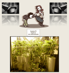 8 floraison jupes   Copy
