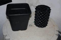 JDC3 Cro30 38