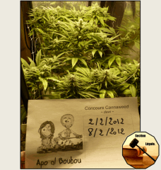 5 legal   Copy