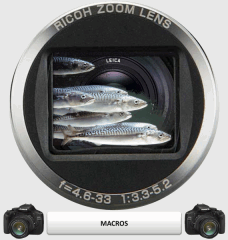 8 macro 1   Copy