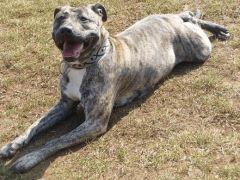karma