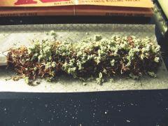 white d smoke test