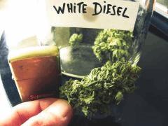 white d smoke test