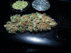 smoke test white diesel