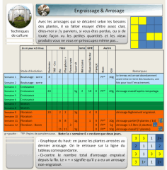 17 engr