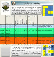 17 engr