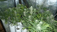 P1050671