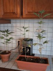 Photo0436