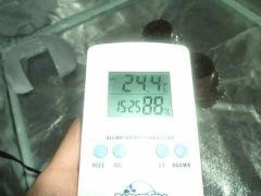 13 SAM 1677