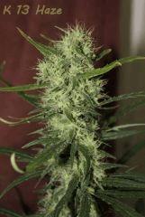 k 13 Haze