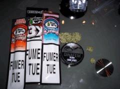 shark test smokkkkkkkk (8)