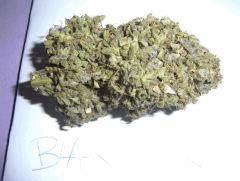 black jack (3)