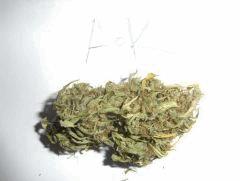 AK (2)