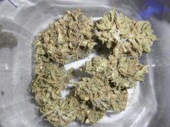 La Musa (3)